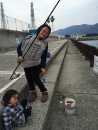 マリーナシティ海釣り公園、イワシも釣れてい…