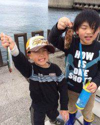 マリーナシティ、サビキでベラ・ガシラ・豆イワシ・イワシ