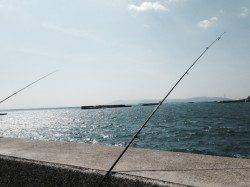 須磨エリア、投げ釣り2投目でカレイをGET！
