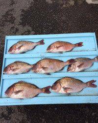 マリーナシティ海洋釣堀、寒いけど釣れました！