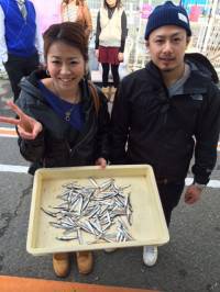 マリーナシティ海釣り公園サビキで豆イワシ・…