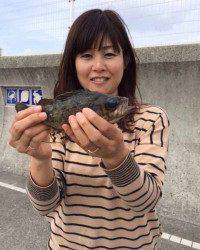 海釣り公園でファミリーフィッシング！シラサの落とし込み