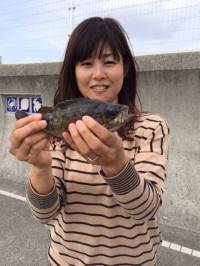 海釣り公園でファミリーフィッシング！シラサの落とし込み