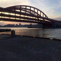 北公園でメバリング、根掛かり覚悟で底付近を攻めガシラGET！