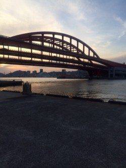 北公園でメバリング、根掛かり覚悟で底付近を攻めガシラGET！