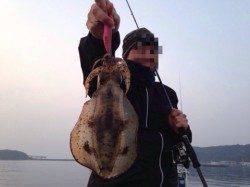 聖地串本にてエギング、ドデカイアタリありましたが・・・