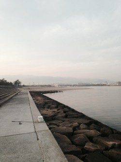 エビ撒きハネ釣り〜シラサエビをこまめに撒くと釣果UP