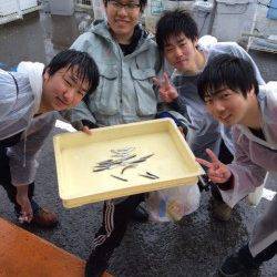 雨にも負けずサビキでイワシ、マリーナシティ海釣り公園