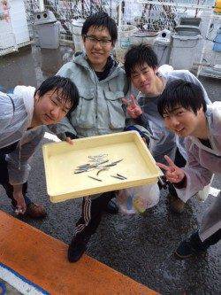 雨にも負けずサビキでイワシ、マリーナシティ海釣り公園