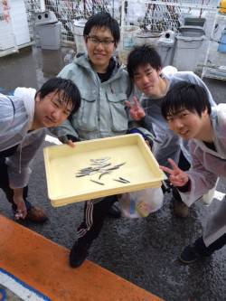 雨にも負けずサビキでイワシ、マリーナシティ…