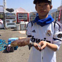 マリーナ海釣り公園、エギングでコウイカＧＥＴ！