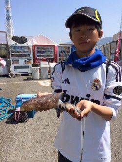 マリーナ海釣り公園、エギングでコウイカＧＥＴ！