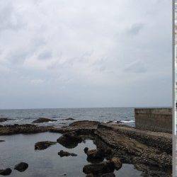 白浜周辺の岩礁帯にて穴釣り、食ってくる所が見えて面白い