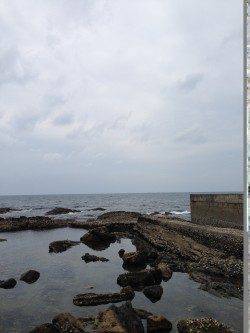 白浜周辺の岩礁帯にて穴釣り、食ってくる所が見えて面白い