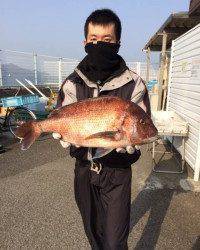 紀州釣りでマダイ62cm ☆ マリーナシティ釣り公園