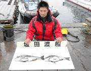 水温上昇で良型チヌ・グレ〜由良のフカセ釣り釣果