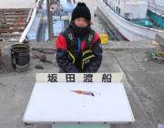 黒島の磯でチヌ釣果、エギでアカイカも