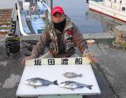 黒島の筏・鷹島のカンドリでチヌ・カワハギ・グレ・サヨリ