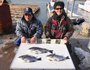 黒島の磯　良型チヌ3枚