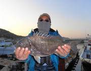 年なしチヌ50㎝をゲット☆黒島の筏