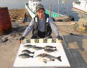 鷹島のカンドリ チヌ48cmほかグレの釣果…