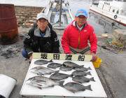 鷹島のカンドリのグレ・チヌ釣果