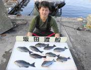 鷹島のカンドリ、今日もフカセでグレ好釣！