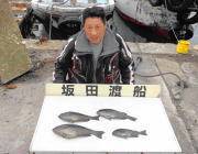 鷹島のカンドリのフカセ釣りでグレ21匹