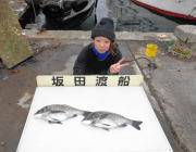 黒島の磯でオキアミをエサにチヌ2枚