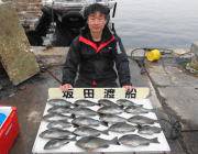 鷹島のカンドリのフカセ釣りでグレ21匹