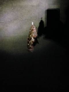 ベイトフィネスでボトムスイミング〜ガシラ3…