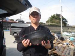 波が残っており沖磯は断念【28日磯グレ釣果…