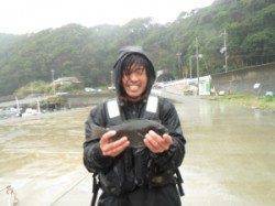 串本の磯　フカセでグレの釣果出てます