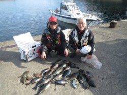 串本の磯グレ、磯釣り初挑戦で釣れました♪