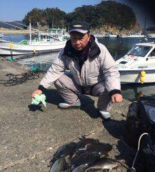 出雲崎の磯グレよく釣れてます☆