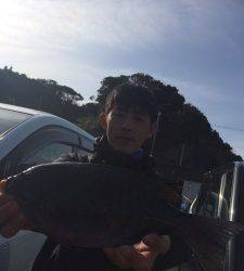 オオ島にてヤエンとエギングでアオリイカ釣果