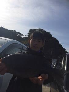 オオ島にてヤエンとエギングでアオリイカ釣果