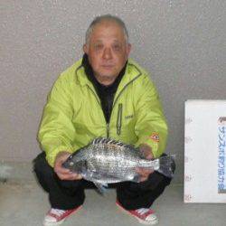 日引磯でフカセ釣り「来ればチヌ」で釣りやすい状況♪