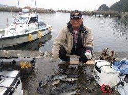 沖のカンゴメにてグレ大漁でした