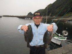 沖のカンゴメにてグレ大漁でした