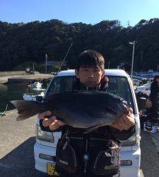 串本の磯　フカセでグレ46.3cmの大型出た