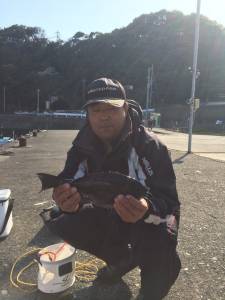 串本の磯、カナトコ・ジンヨモの壁のグレ釣果…