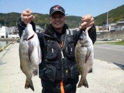 ヒラバエにて良型チヌ2枚の釣果です