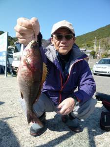 神谷沖一文字内向き、30cmの良型イサキ♪…