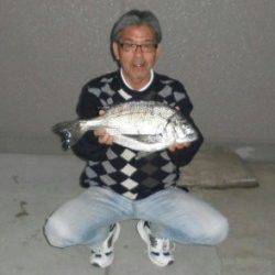 【28日】瀬崎の地磯でチヌ47cm！