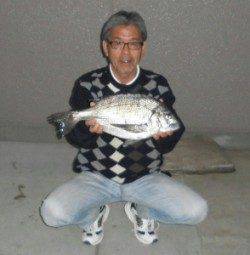 【28日】瀬崎の地磯でチヌ47cm！