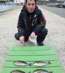 神谷沖一文字内向きでフカセ釣り　イサギ4匹