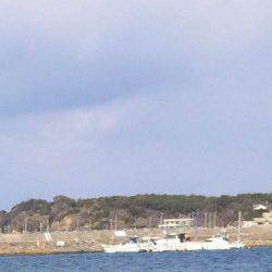 深日漁港　加太からのランガンもアナハゼ☆