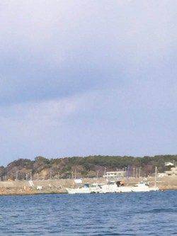 深日漁港　加太からのランガンもアナハゼ☆