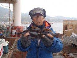 シラサの落し込みでメバル　【1日平磯海づり公園】　